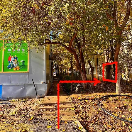 - Tomis Nord Daire Köstence